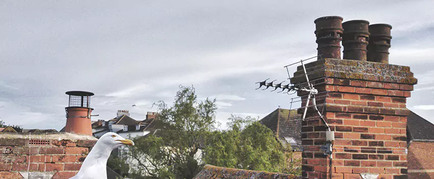 Chimney Cleaning And Restoration in Westbrook, Maine